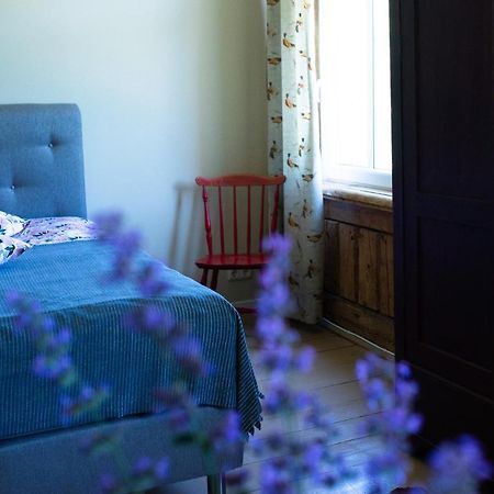 Livi Avat Apartman Ikla Kültér fotó